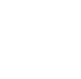 Step 2 icon